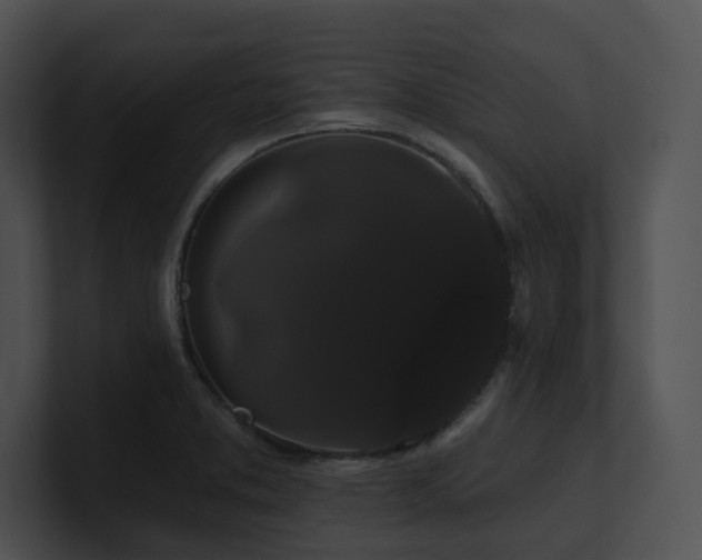 X0000100891373200806241222