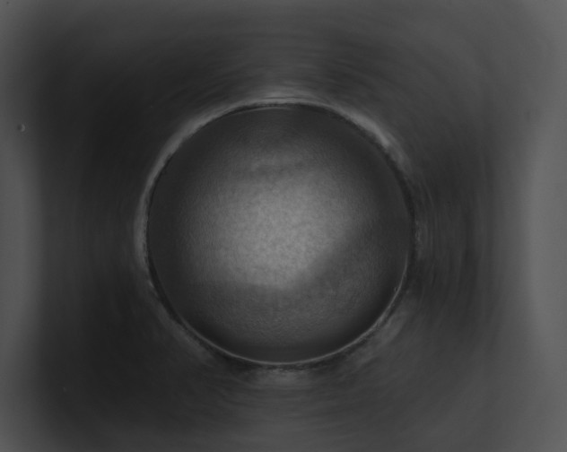 X0000100891374200806241222