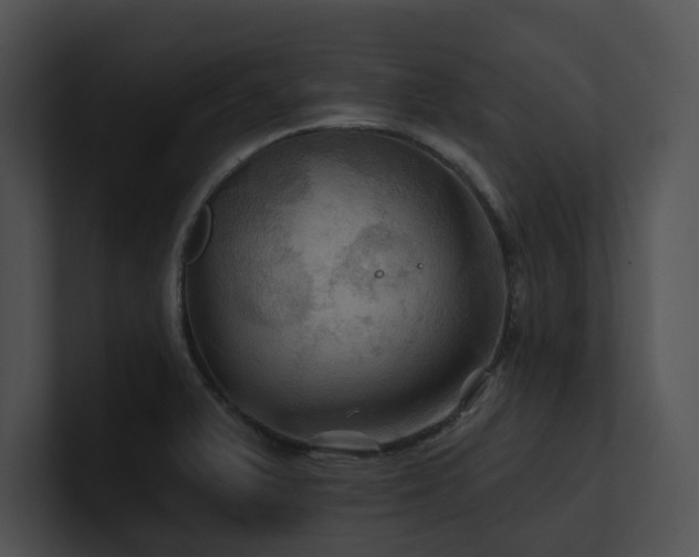 X0000100891375200806241222