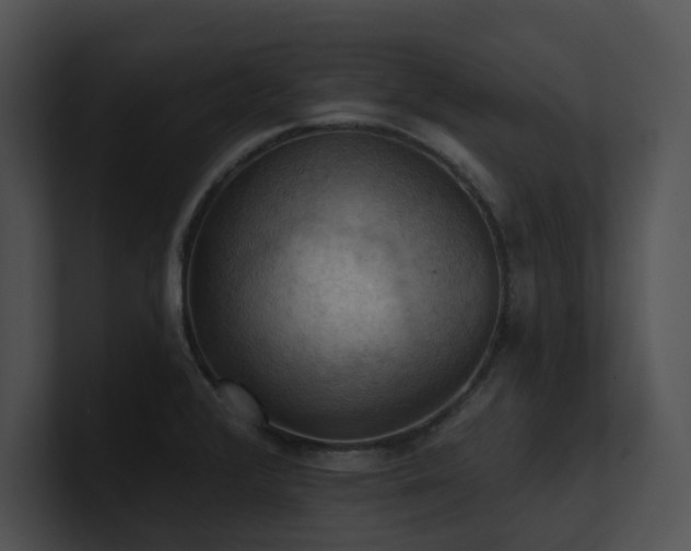 X0000100891376200806241222