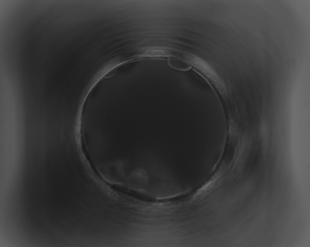 X0000100891378200806241222