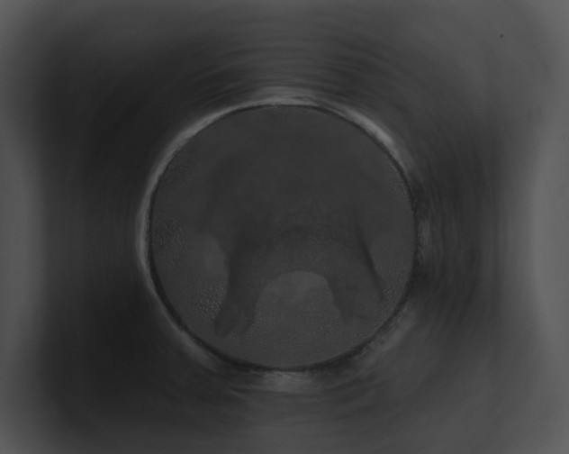 X0000100891379200806241222