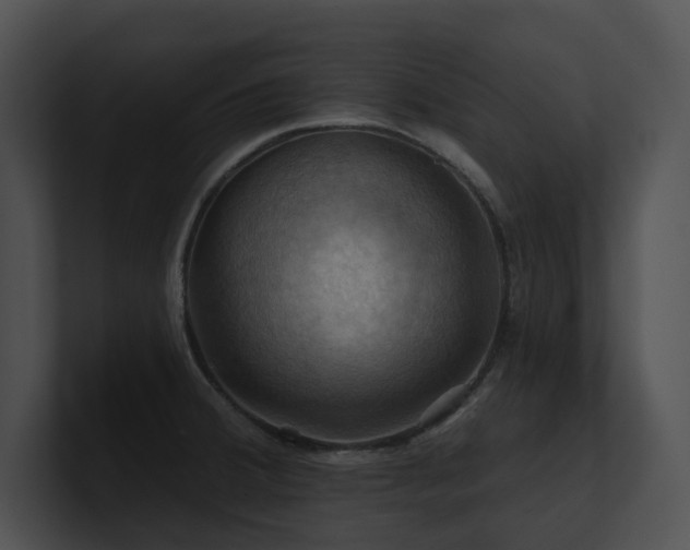 X0000100891380200806241222