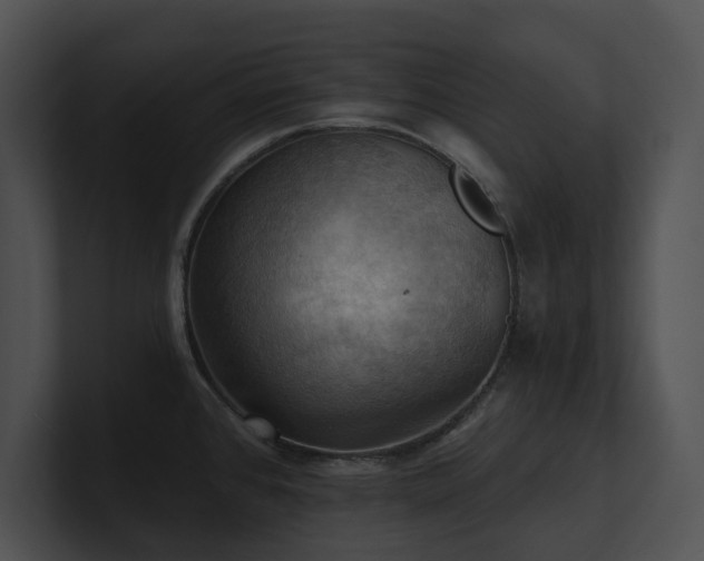 X0000100891384200806241222