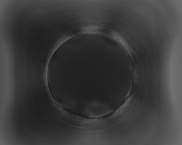 X0000100891386200806241222