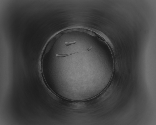 X0000100891388200806241222