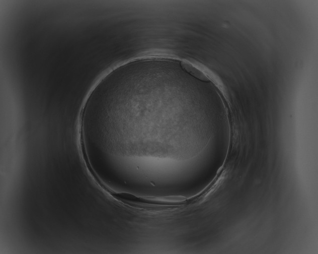 X0000100891390200806241222