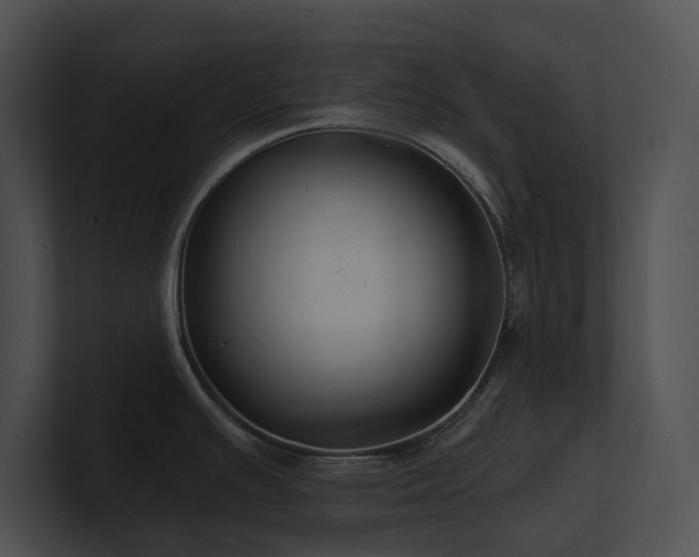 X0000100891391200806241222