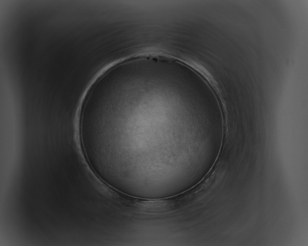 X0000100891392200806241222