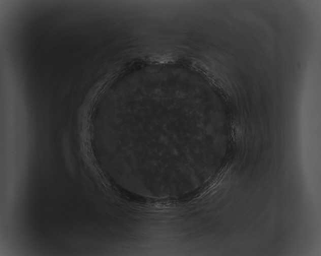 X0000100891393200806241222