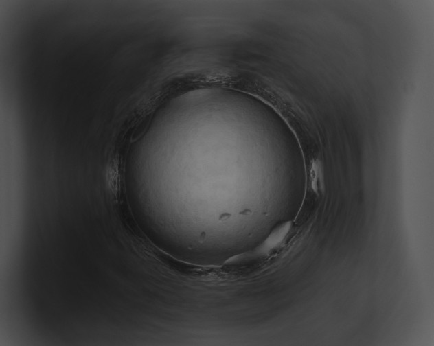 X0000100891395200806241222