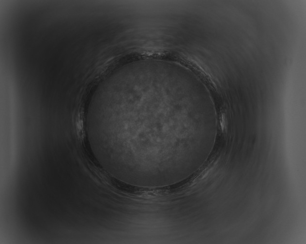 X0000100891396200806241222
