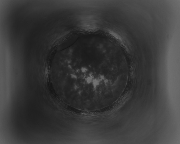 X0000100891397200806241222
