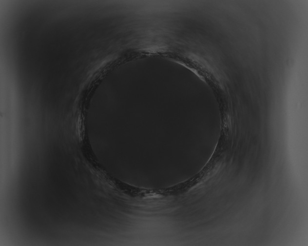 X0000100891398200806241222