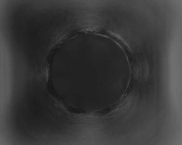 X0000100891399200806241222