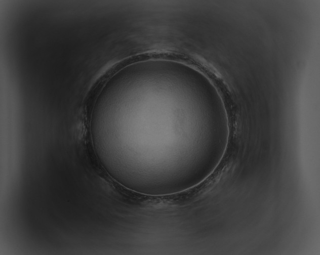 X0000100891400200806241222
