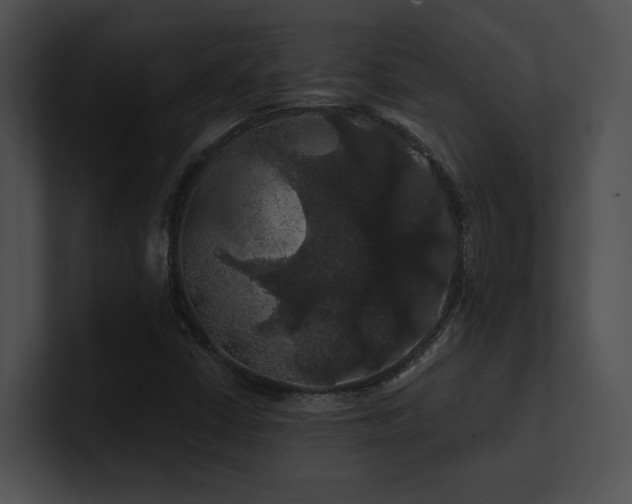 X0000100891402200806241222