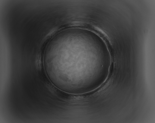 X0000100891403200806241222