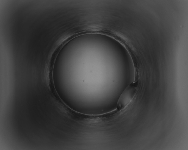 X0000100891410200806241222