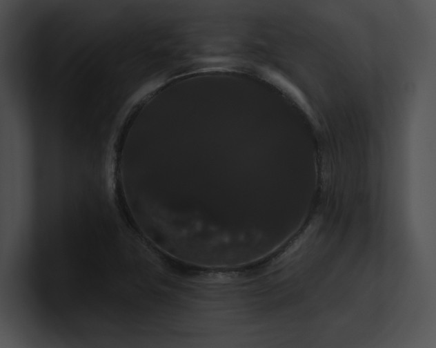 X0000100891411200806241222