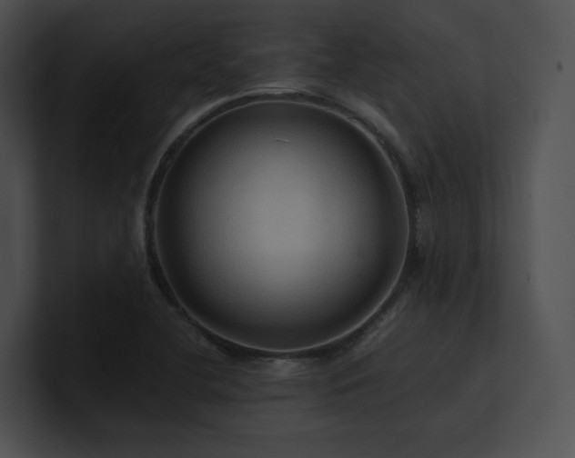 X0000100891412200806241222