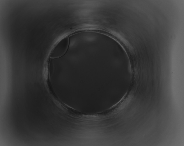 X0000100891413200806241222
