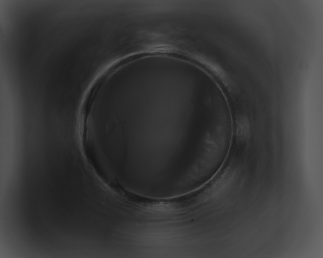 X0000100891414200806241222
