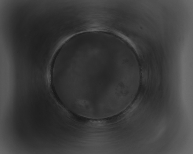 X0000100891415200806241222