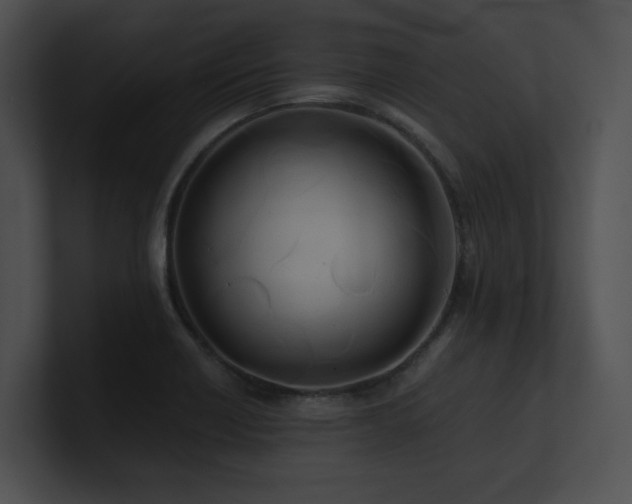 X0000100891418200806241222