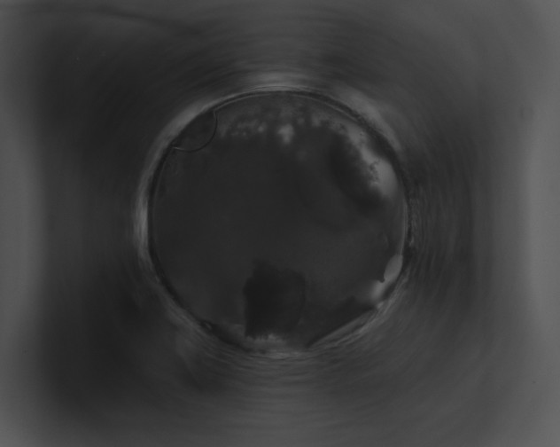 X0000100891419200806241222