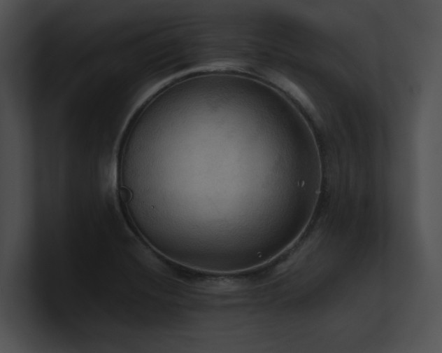 X0000100891420200806241222