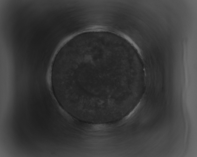 X0000100891421200806241222