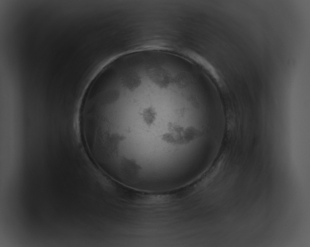 X0000100891423200806241222