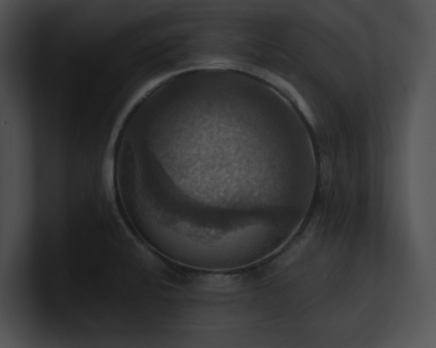 X0000100891424200806241222