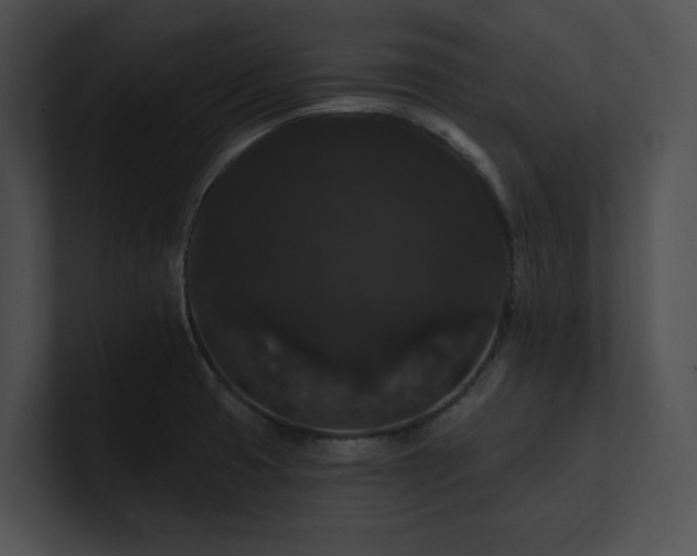 X0000100891425200806241222