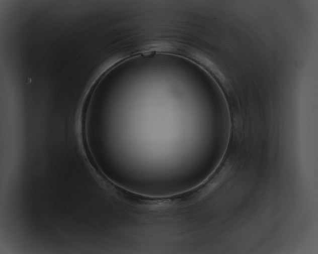 X0000100891426200806241222