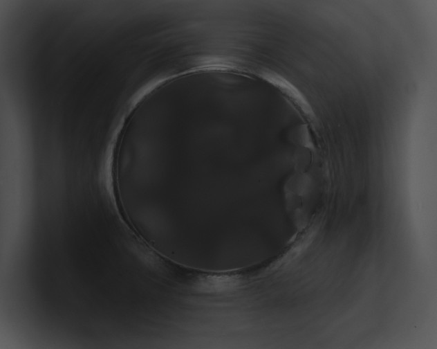 X0000100891427200806241222