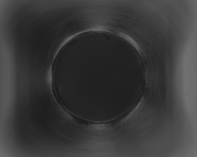 X0000100891428200806241222