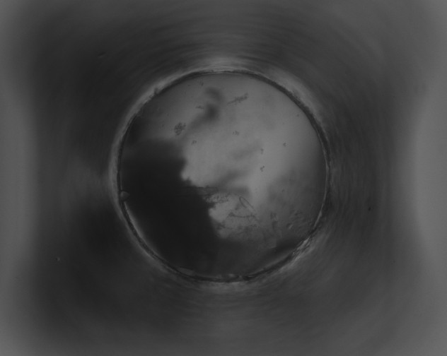 X0000100891429200806241222