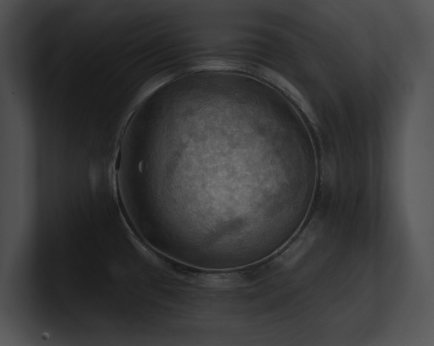 X0000100891433200806241222