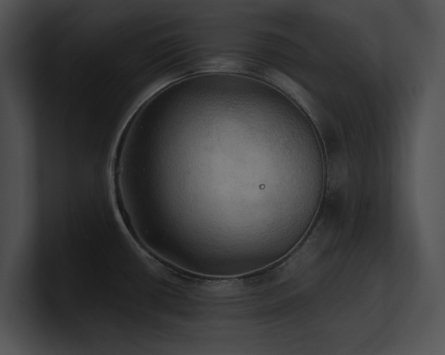 X0000100891434200806241222