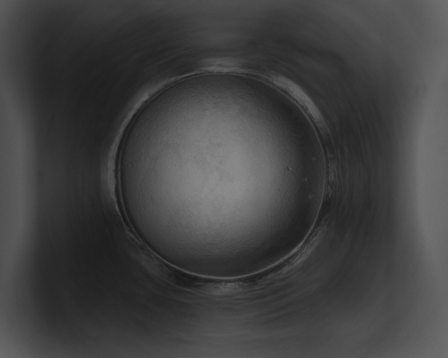 X0000100891435200806241222