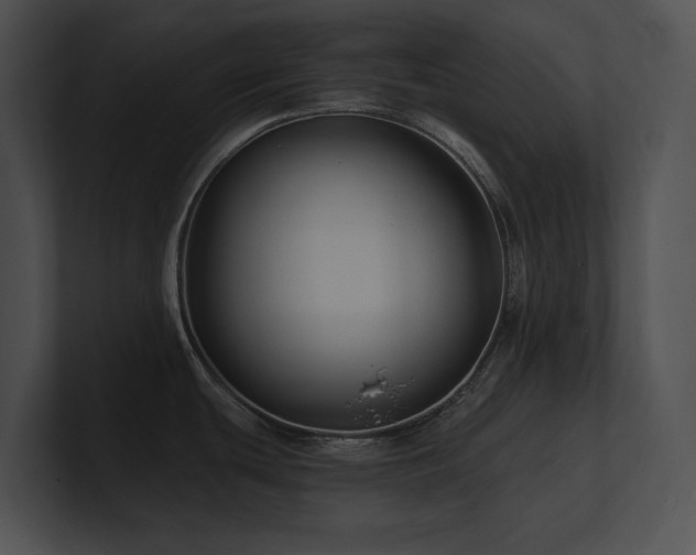 X0000100891439200806241222
