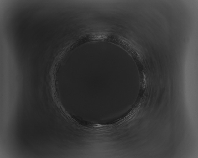 X0000100891441200806241222