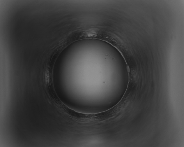 X0000100891442200806241222