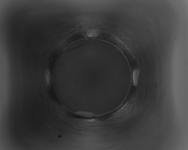 X0000100891443200806241222