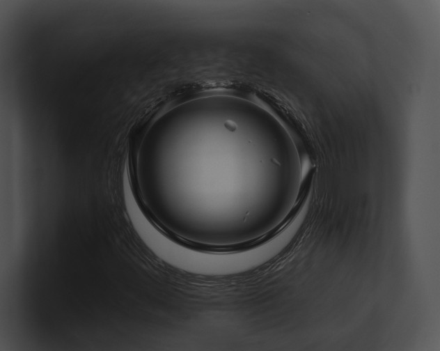 X0000100891444200806241222