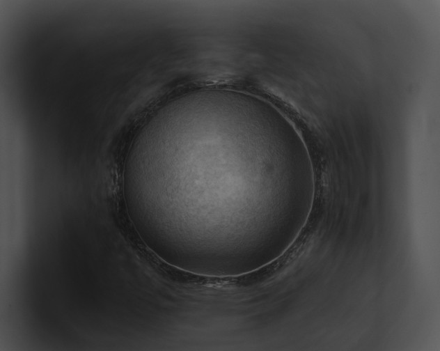 X0000100891447200806241221