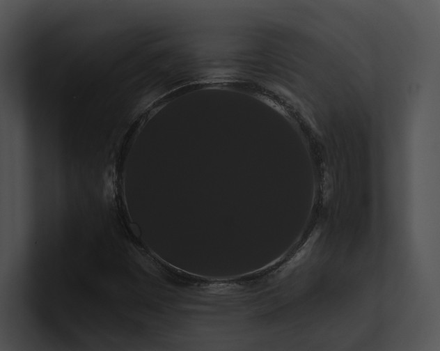 X0000100891449200806241221