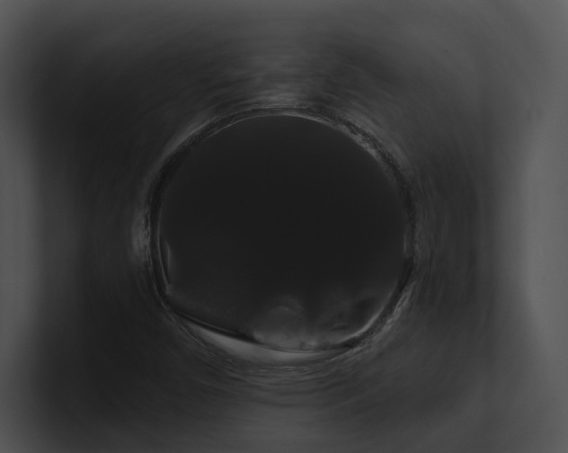 X0000100891450200806241221